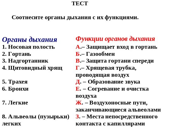 Дыхательные тесты легких. Тест соотнесите органы дыхания. Соотнесите органы дыхания с их функциями. Тест соотнесите. Органы дыхания функции органов дыхания соотнесите.