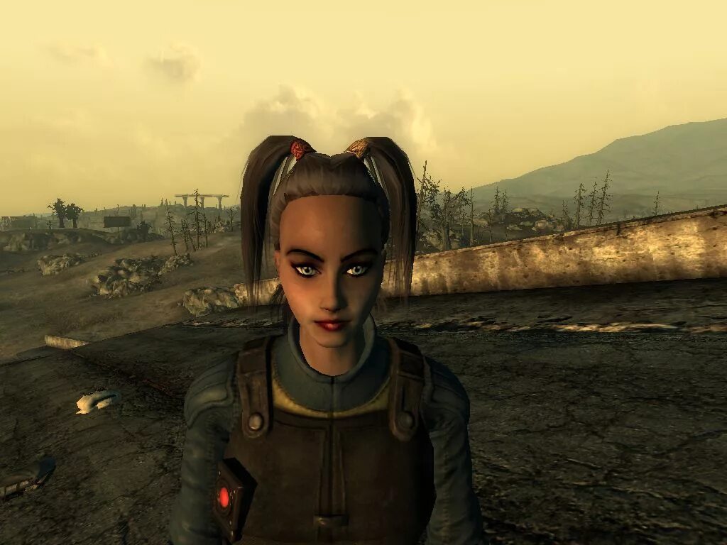 Fallout npc designer. Fallout 3 butch. фоллаут 3. фоллаут 3 женские нпс. фоллаут 3 прически.