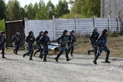 Заложники гуфсин