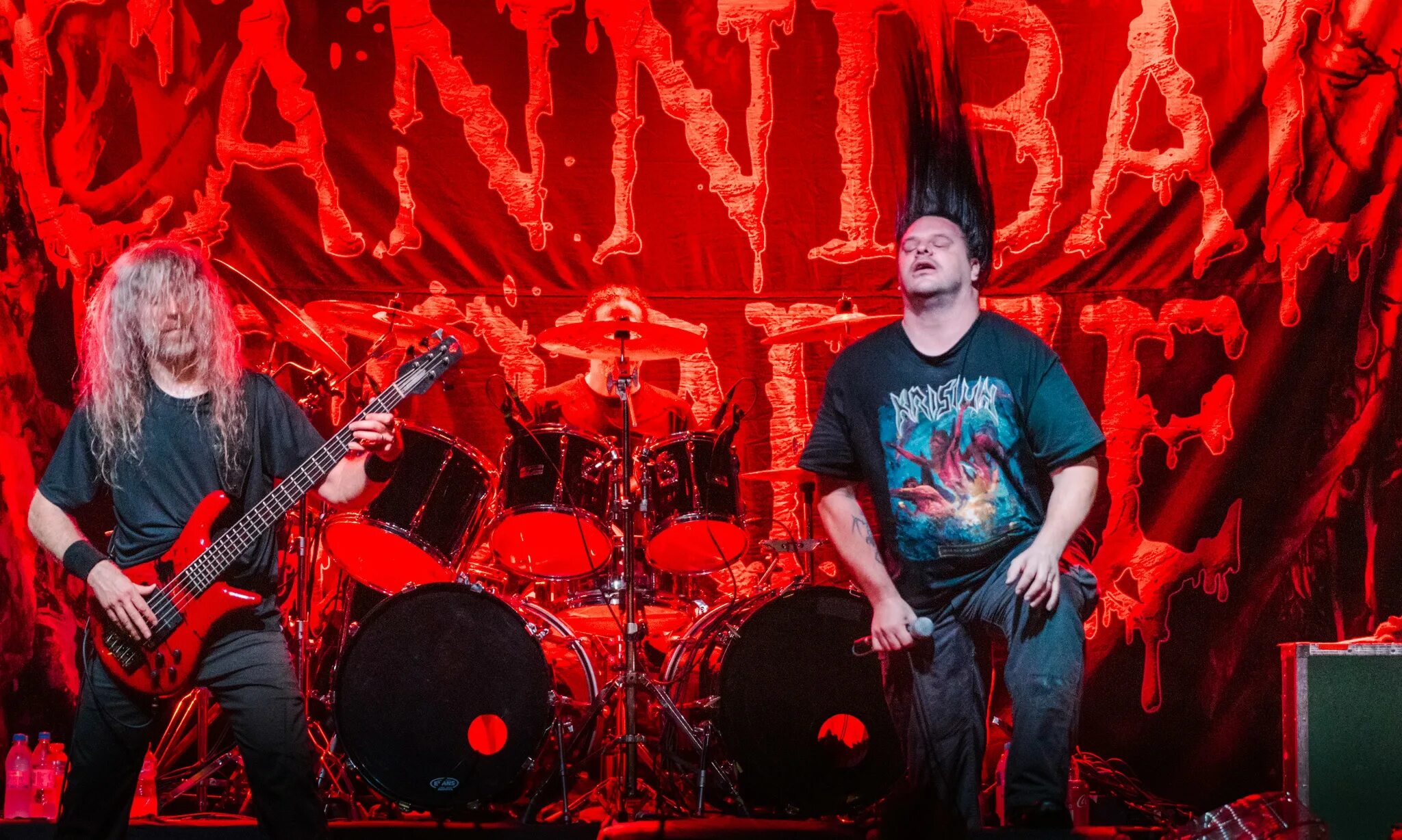 Cannibal corpse песни