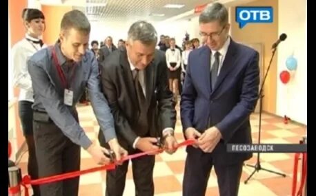 Мфц приморье. График работы м. Работа мфц лесозаводск. Мфц г. Работа мфц лесозаводск.