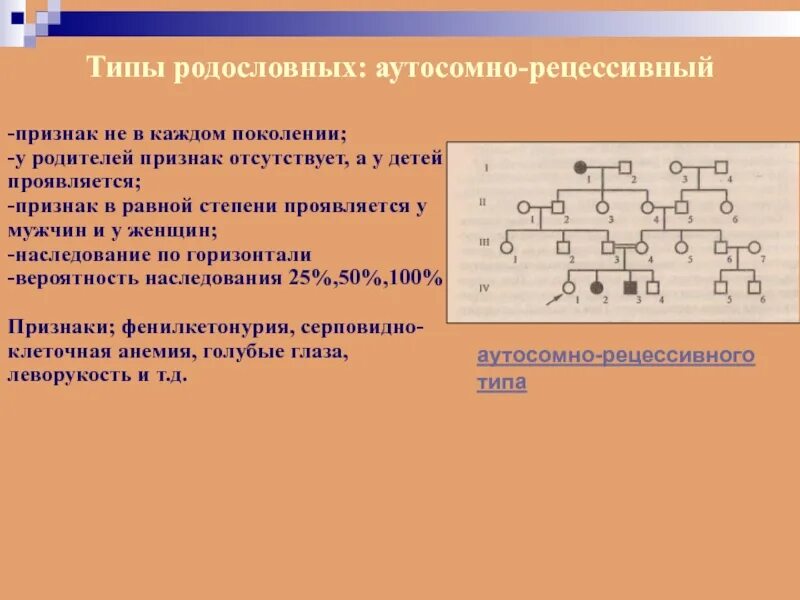 Типы родословных. Аутосомно-рецессивный. Аутосомно-рецессивный признак. Аутосомно-рецессивный Тип наследования анемия. Отец имеет короткие ресницы рецессивный аутосомный