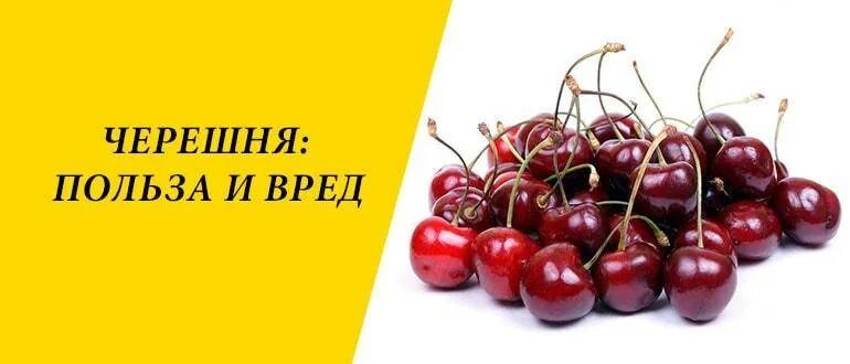 Польза черешни. Чем полезна черешня. Чем полезна черешня для организма. Черешня здоровье. Черешня полезные качества.