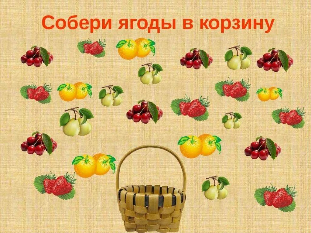 Мы собрали много ягод. Ягоды для дошколят. фрукты для детского сада. тема ягоды. ягоды для детей дошкольного возраста.