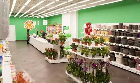 Магазин среди цветов