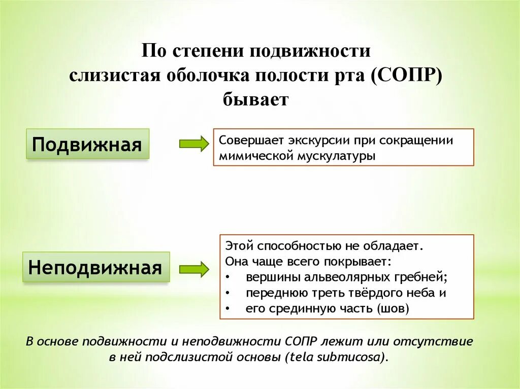 Непр взойденный пр дставить сопр частность. Степень подвижности слизистой оболочки полости рта. Подвижная слизистая оболочка полости рта. Активно подвижная слизистая оболочка. Понятие подвижности и податливости слизистой оболочки полости рта.