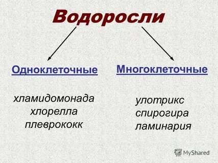 Как называется низкое