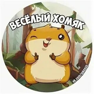 Хомяк комба 6 июля