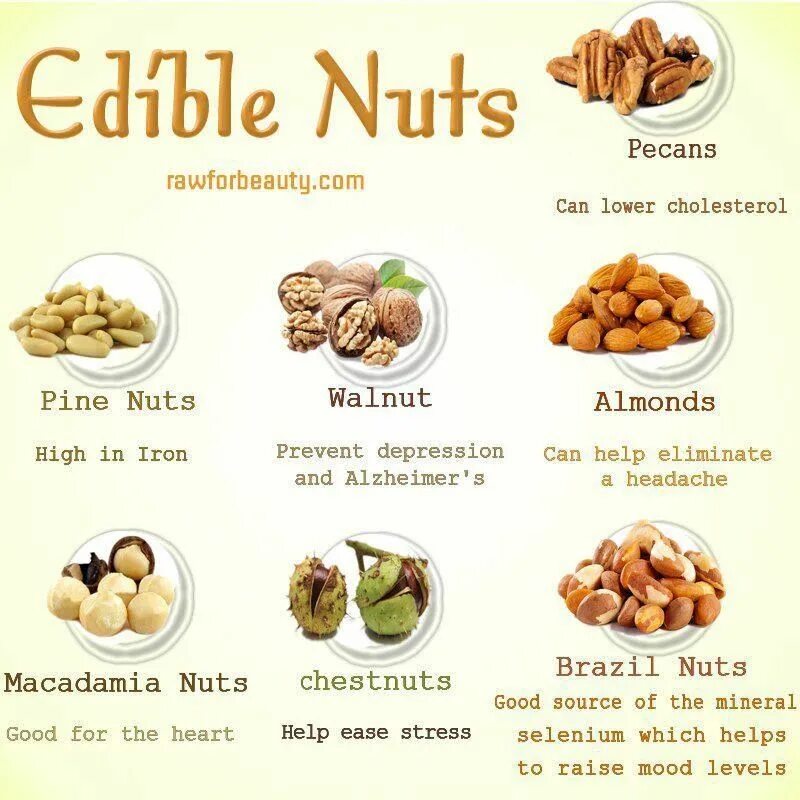 Nuts sort. Kinds of nuts in english. nut and go с пеканом. пине нутс. нутс или натс.