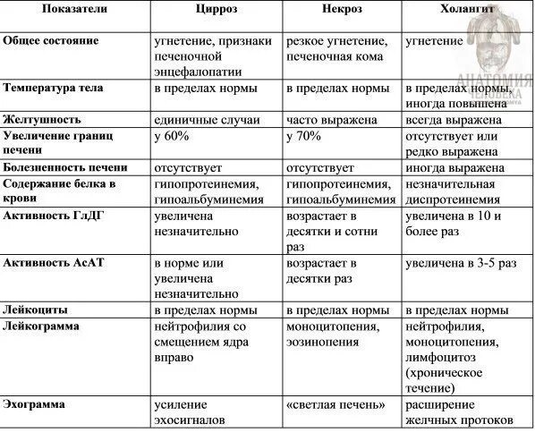 Алкогольный цирроз печени дифференциальный диагноз. Дифференцирована печень. Цирроза печени дифференциальная. Дифференциальный диагноз цирроза печени. Дифференциальная диагностика опухолей печени.