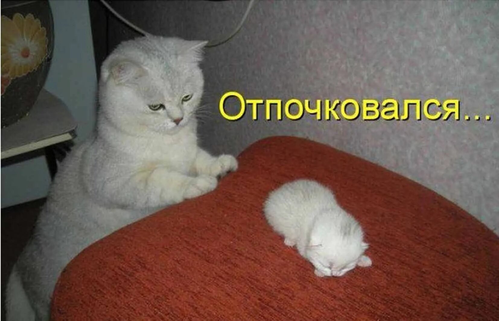 Теперь я обиделся