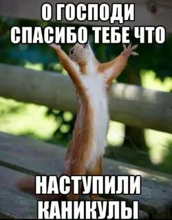 Каникулы ура картинки смешные родители