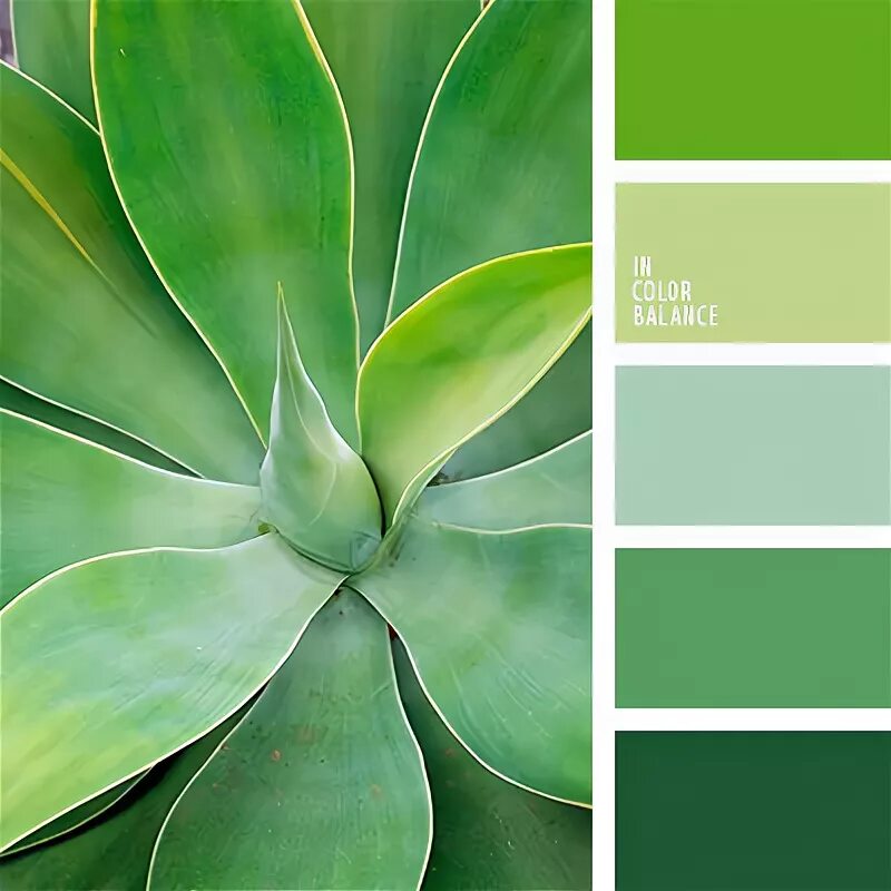 welche farbe passt zu grün farbpalette nuancen Grüne farbpalette, Wandfarbe grün