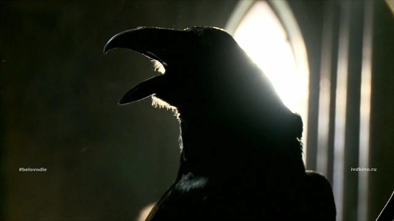 Crow не работает