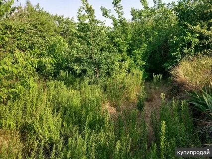 Продам участок ростовская область