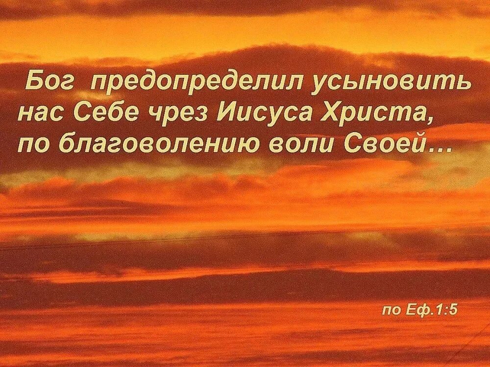 На бога уповаем. Иисус творец. Изображение иисуса. Дорога к богу. Благословен отец господа нашего.