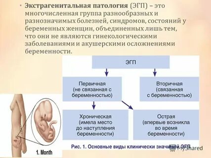 Инфекции при беременности клинические рекомендации