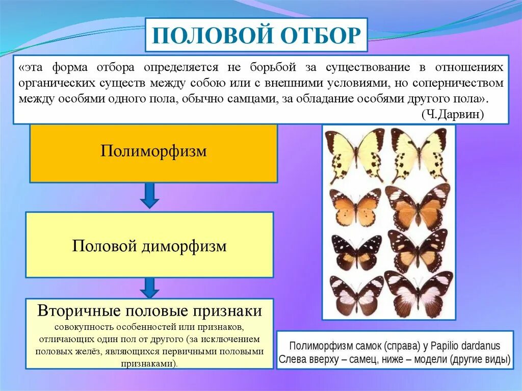 Примеры форм отбора в природе. Движущий стабилизирующий дизруптивный отбор таблица. движущий отбор стабилизирующий отбор дизруптивный отбор. формы естественного отбора таблица половой. таблица формы естественного отбора 9 класс биология.