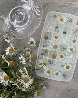 Кубик ромашки