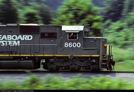Sd system