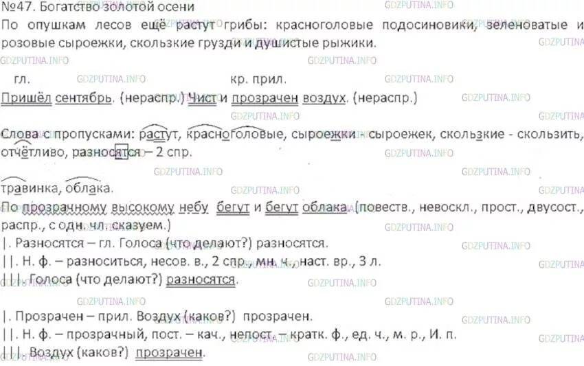 Облаков 4 разбор. Синтаксический разбор предложения на опушках лесов. Русский язык 6 класс номер 47. Синтаксический разбор предложения по опушкам растут грибы. Синтаксический разбор Рыжик.