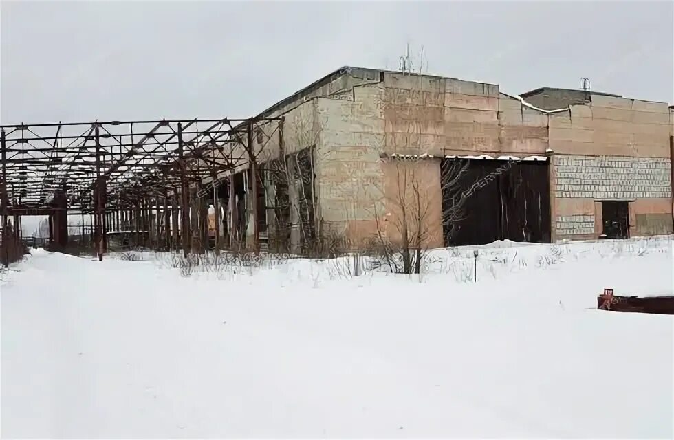 Бор нижегородская область поселок октябрьский. Нижегородская область Бор посёлок Октябрьский Первомайская 1. Посёлок Октябрьский Бор. Посёлок Октябрьский Нижегородская область. Посёлок Октябрьский Нижегородская область Борский.