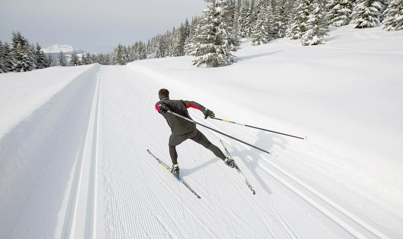 Лыжный спорт коньковый ход лыжи. Лыжи Сумит Фишер. Salomon Nordic Ski. Техника конькового хода на беговых лыжах. Skiing cross country skis