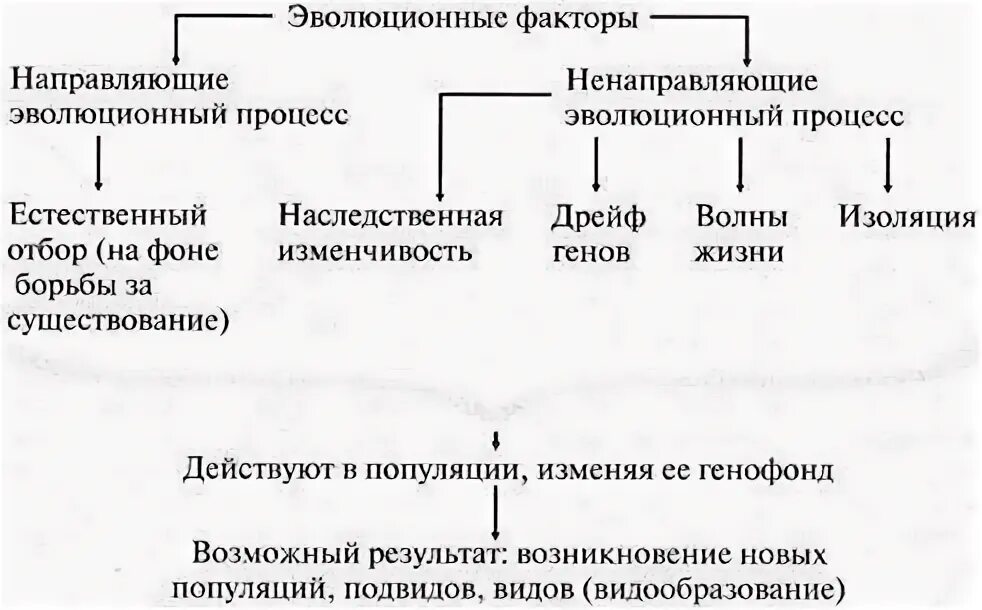 Схема многообразие элементарных эволюционных факторов. Многообразие элементарных эволюционных факторов схема. Элементарные эволюционные факторы схема. Многообразие эволюционных факторов схема. Факторы эволюции схема.