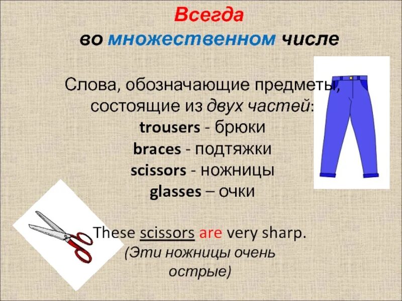 Мыло во множественном числе. Брюки в единственном числе. Джинсы в единственном числе. Штаны во множественном числе. Брюки во множеством числе в англ.