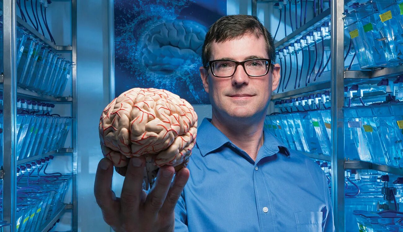 Brain processing. Brain Trust. Brain Trust искусственный интеллект. Репортаж Brain. Man big Brain фото.