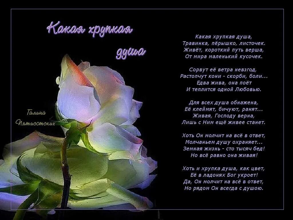 Какая жизнь у души. Стихи. стихи для души. душевное стихотворение. душевные стихи.