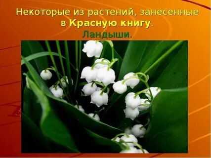 Охрана красной книги