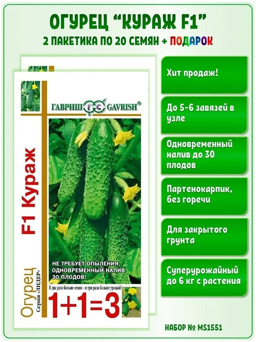 Огурцы кураж посадка. Набор огурцы + 1 в подарок гавриш. кураж огурцы отзывы для закрытого грунта. сравнение сорта огурцов кураж и егоза.