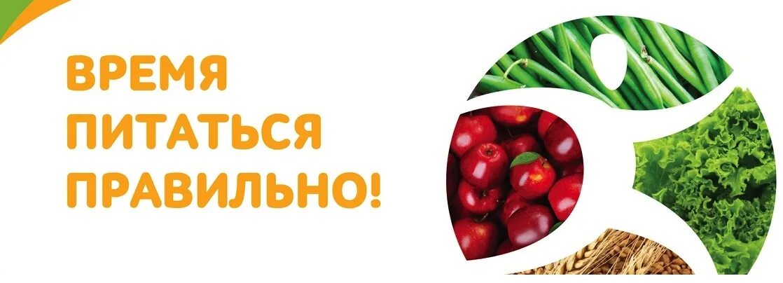 Обучающая программа по вопросам здорового питания