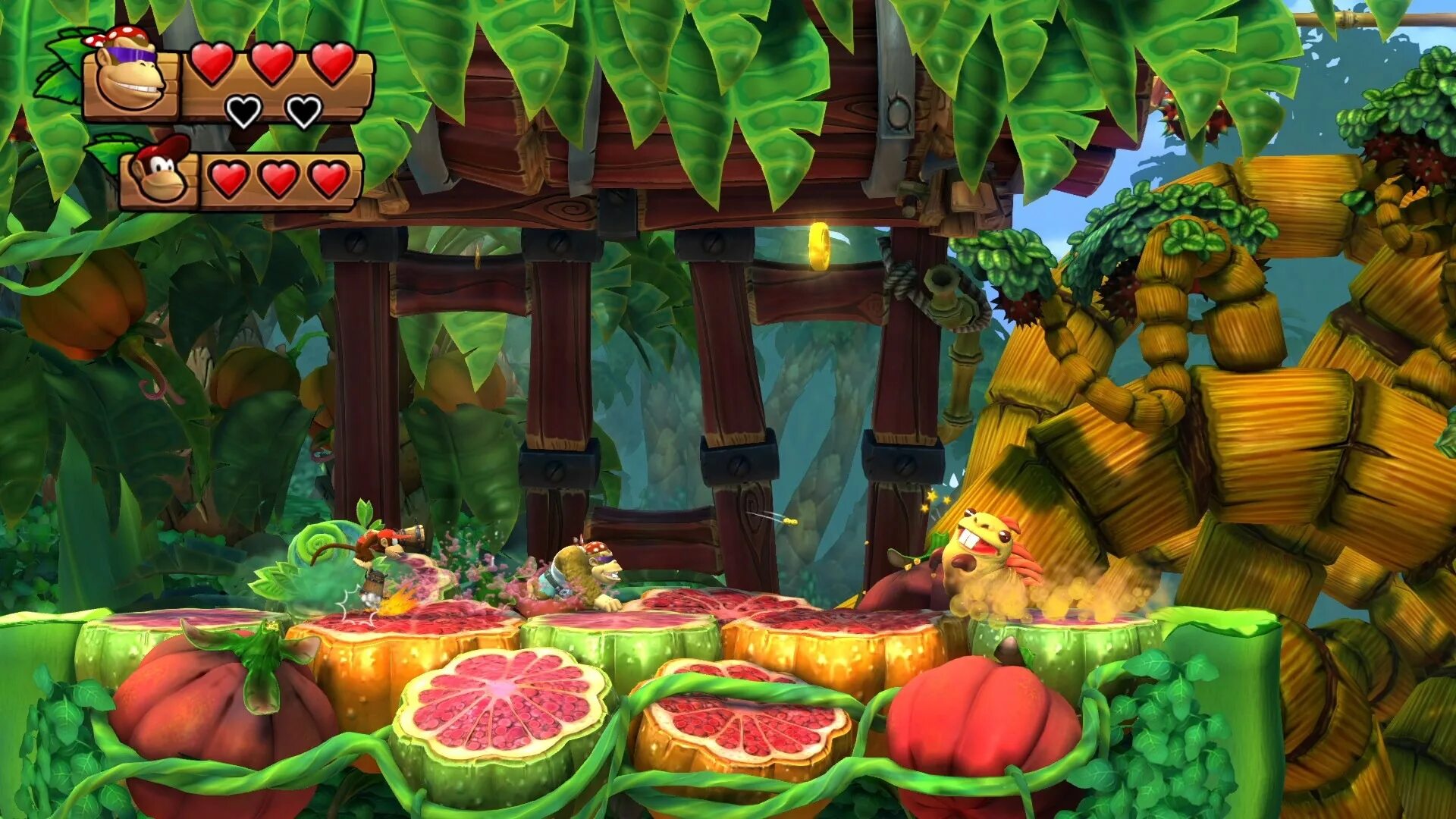 Donkey kong country freeze. Игра Donkey Kong Country: Tropical Freeze. Донки Конг игры Нинтендо. Donkey Kong Country Tropical Freeze Nintendo Switch. Donkey Kong Country Nintendo.