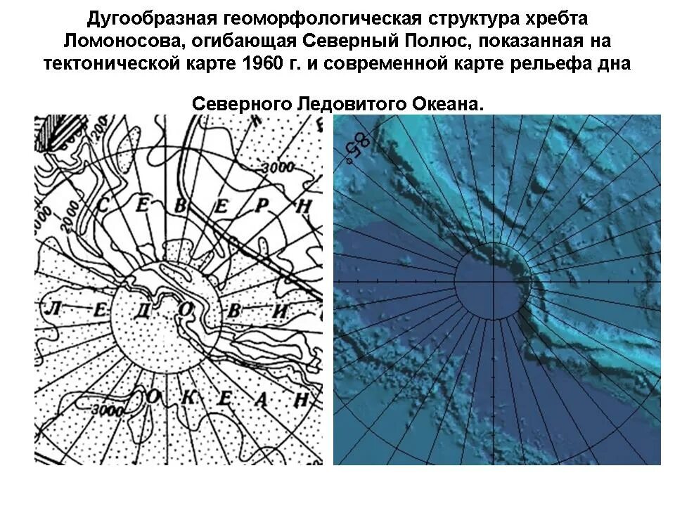 Хребет Ломоносова на карте Северного Ледовитого. Хребет Ломоносова в Северном Ледовитом океане на карте. Хребет Ломоносова и Менделеева в Северном Ледовитом. Хребет Ломоносова в Северном Ледовитом океане. Теплое течение ледовитого океана