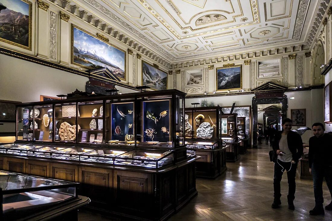 Амстердам музей рейксмузеум картины. Государственный исторический музей москва из нутрои. 600 музеев. Лувр галерея аполлона. 600 музеев.