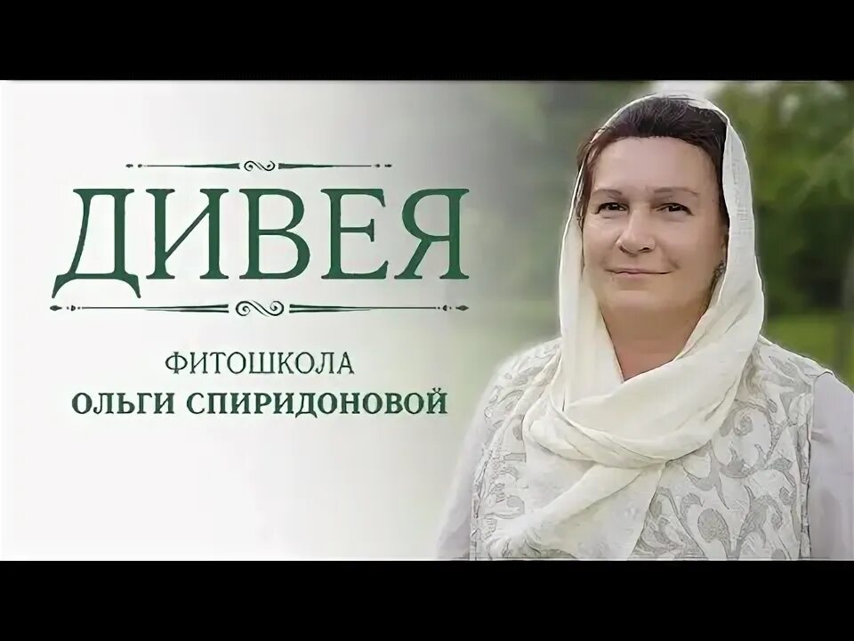 Школа травника. Школа травника. Фитошкола "дивея", травничество. Школа травника. Школа травника.