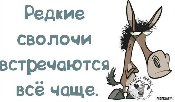 Какое то время и редко. Сволочи картинки. Сволочи картинки прикольные. Сволочи надпись. Сволочи рисунок.