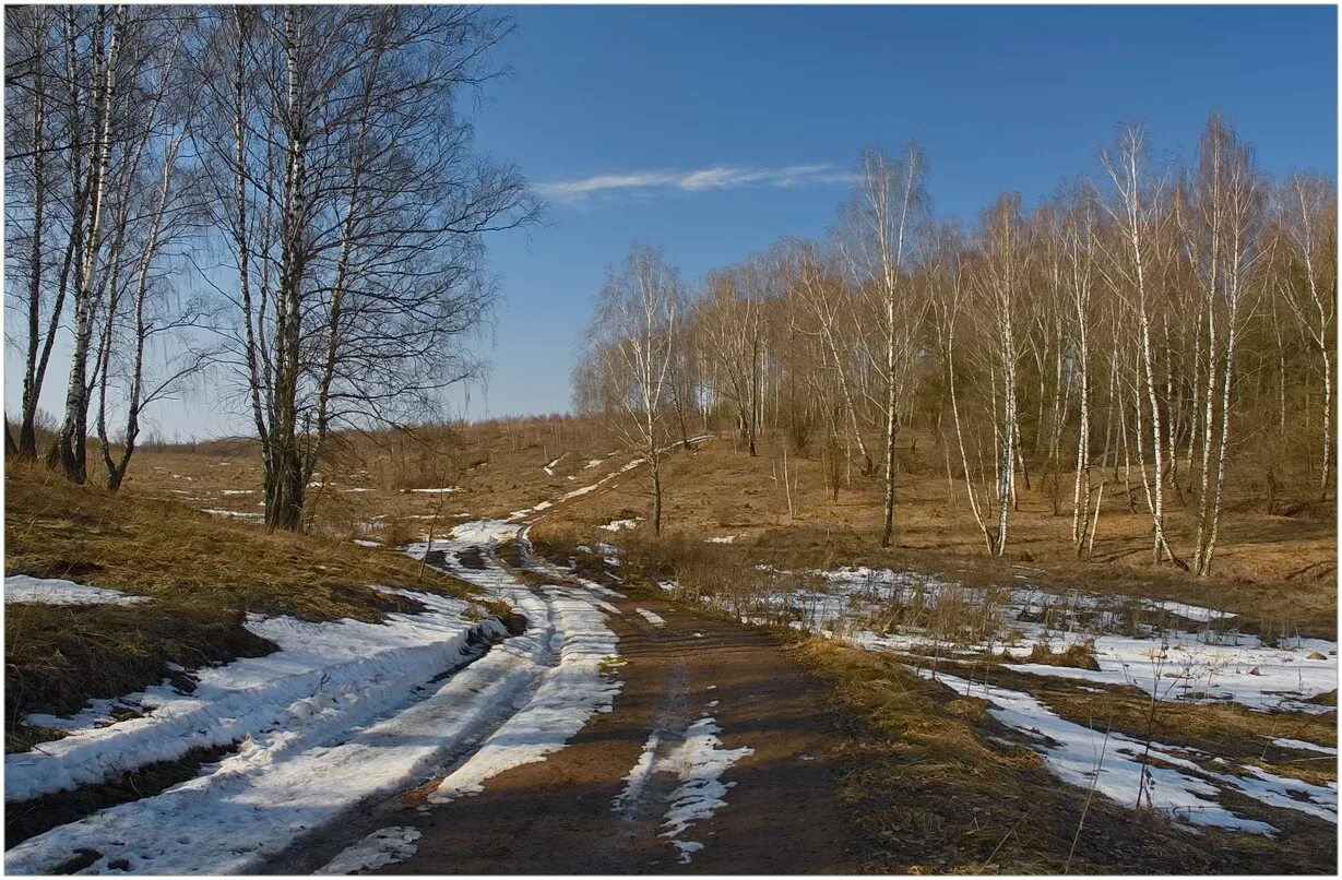 Последний снег стихотворения