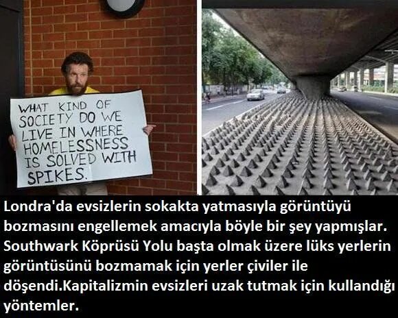 What kind of life is. What kind of Society do we Live in ответ на вопрос. Society перевод. What kind of Society do we Live in 2 what is the Society governed by. Ответьте на вопросы.1.what kind of Society do we Live in?.