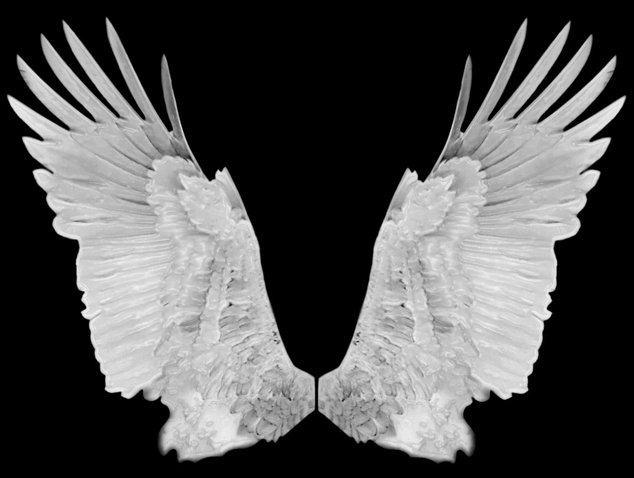 Крылья. Ангельские Крылья. Красивые Крылья. Раскрытые Крылья. Крылья на черном фоне