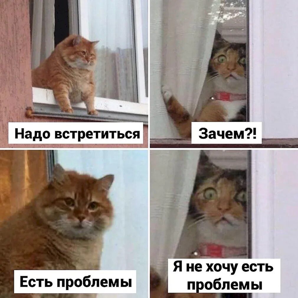 Проблем не было теперь будет. Надо встретиться есть проблемы. не хочу есть проблемы. надо встретиться зачем есть проблемы. я не хочу есть проблемы проблемы надо встретиться.