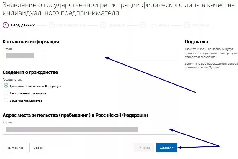 Заявление на ИП на госуслугах. Регистрация ИП на госуслугах. Данные ИП на госуслугах. ИП профиль на госуслугах.