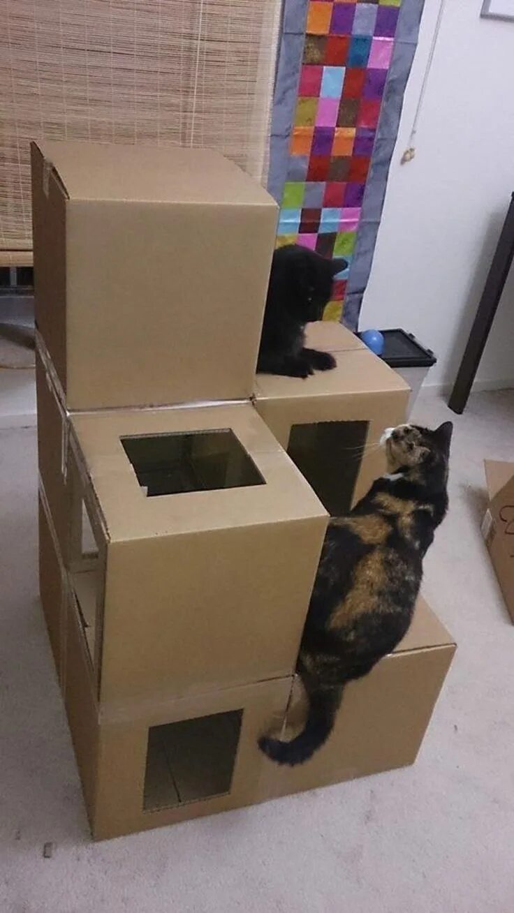 Как сделать кошку коробку