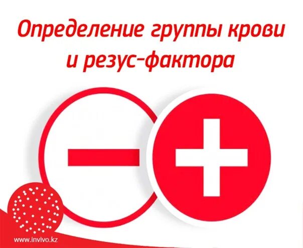 Определения группа крови таблица резус фактора Резус фактор цоликлоны