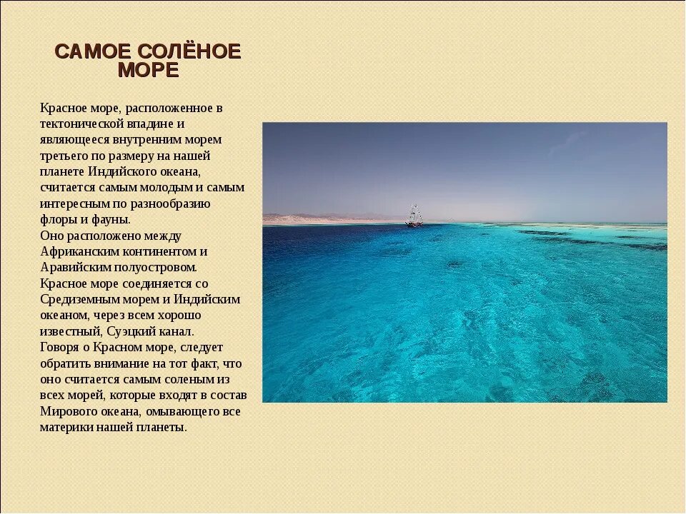 Самое теплое и соленое море африки. Красное море самое соленое море. Описание моря. Характеристика красного моря. Красивое описание моря.