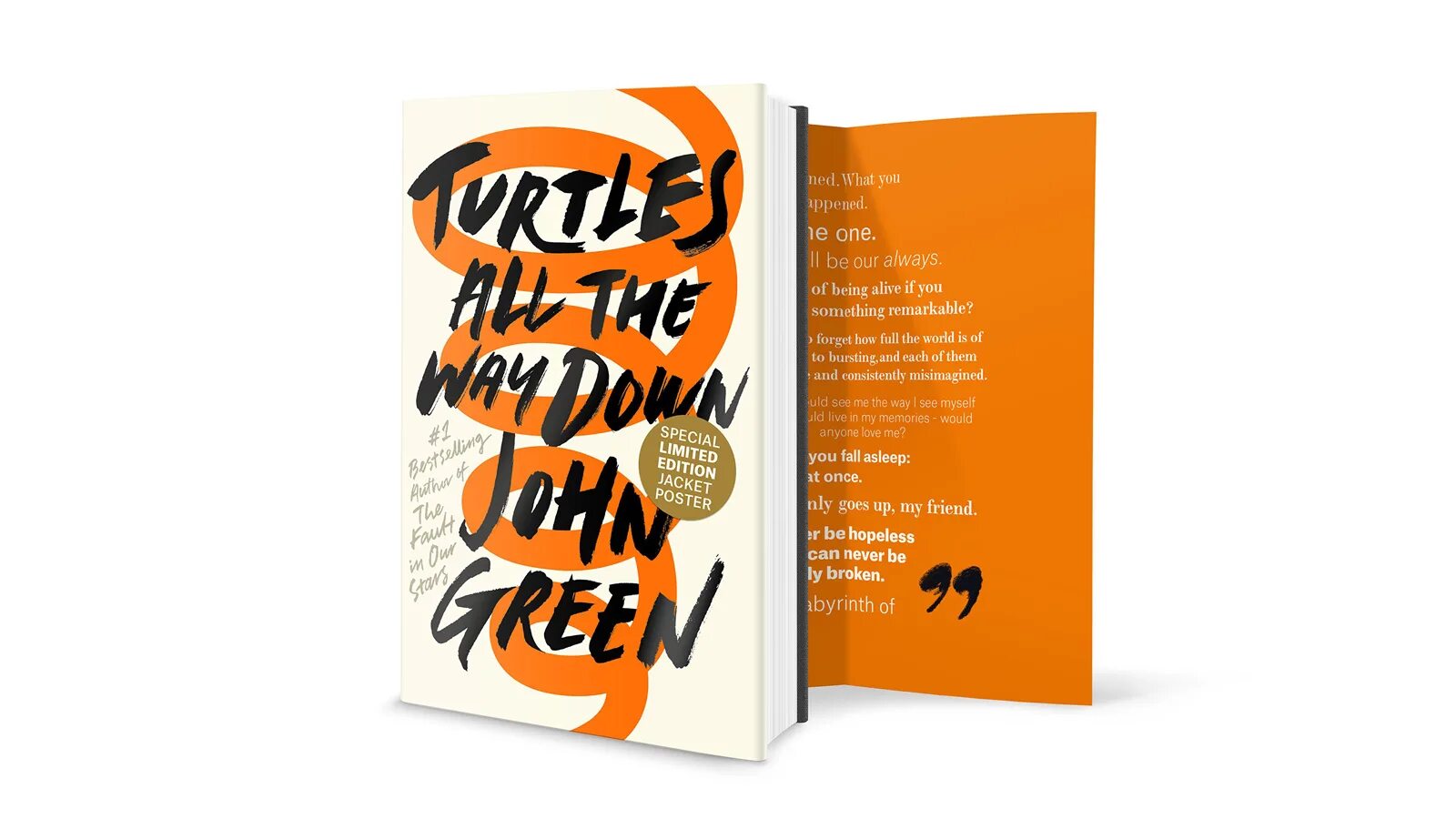 Turtles all the way down watch. Turtles all the way down книга. turtles all the way down джон грин книга. плакат turtles all the way down. turtles all the way down постер.
