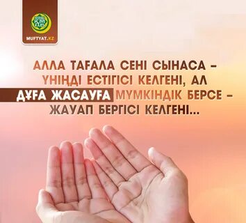 Ол үлкен қара дилдостармен есегін жыртады