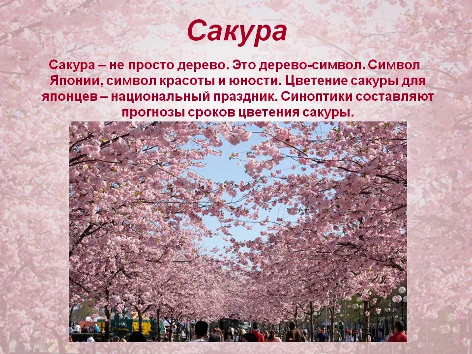 Вопросы про японию